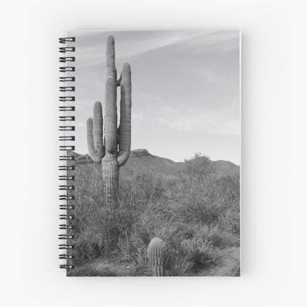 Item preview, Young  and Ancient Saguaro Sentinels - Carnegia gigantica designed and sold by outdoorstudio.