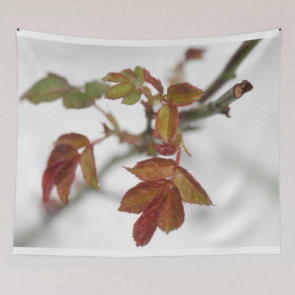 Item preview, Red leaves over white snow designed and sold by olena2552.