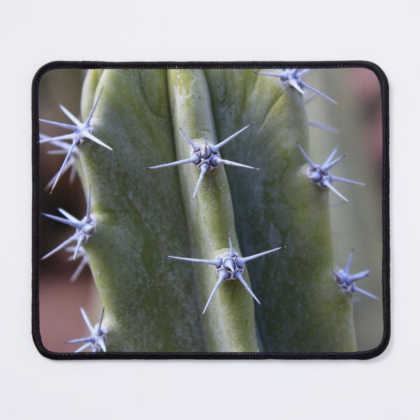 Item preview, Spikey Fluted Abstract Senita - Pachycereus schottii designed and sold by outdoorstudio.