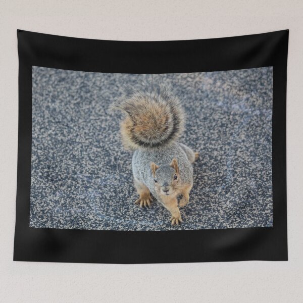 Item preview, Squirrel Friend designed and sold by craftsbydaphy.