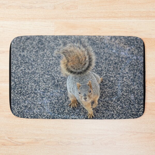 Item preview, Squirrel Friend designed and sold by craftsbydaphy.