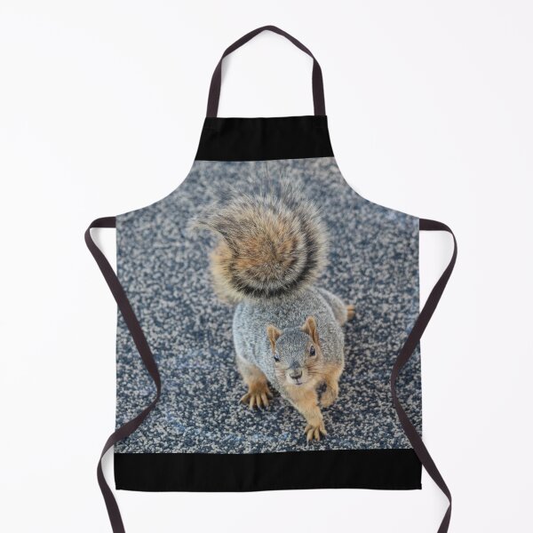 Item preview, Squirrel Friend designed and sold by craftsbydaphy.