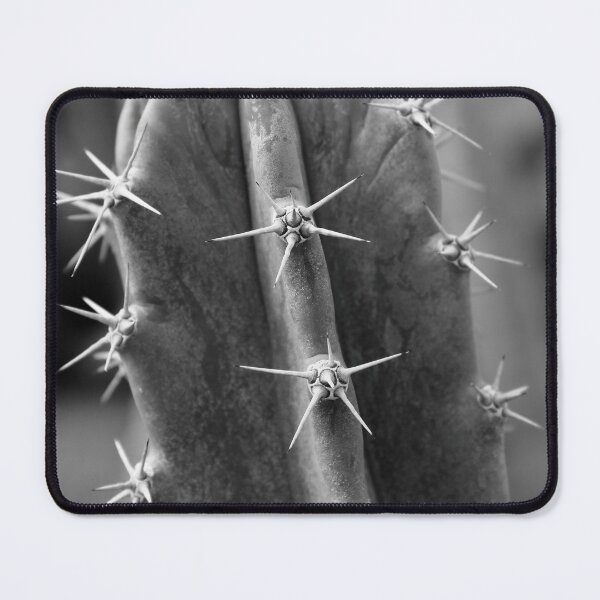 Item preview, Spikey Fluted Abstract Senita - Pachycereus schottii designed and sold by outdoorstudio.