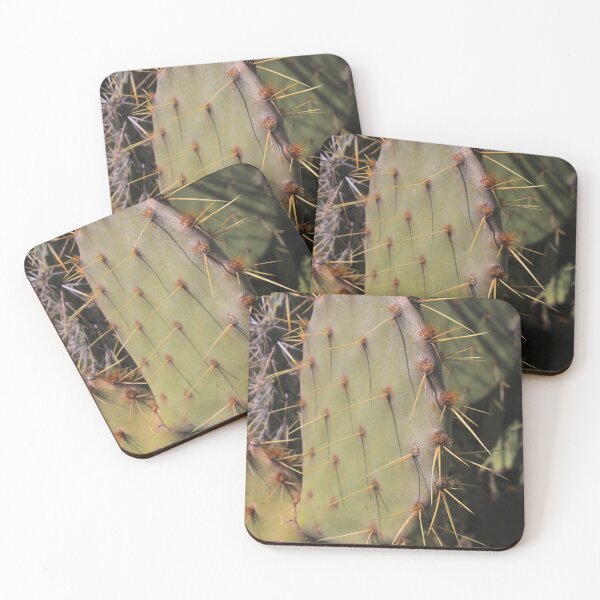 Item preview, Pancake Prickly Pear Paddle - Opuntia chorotica designed and sold by outdoorstudio.