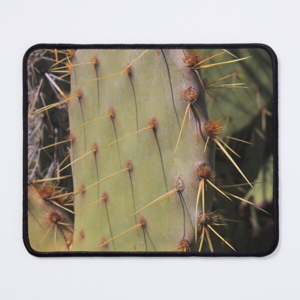 Item preview, Pancake Prickly Pear Paddle - Opuntia chorotica designed and sold by outdoorstudio.