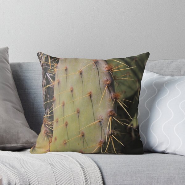 Item preview, Pancake Prickly Pear Paddle - Opuntia chorotica designed and sold by outdoorstudio.
