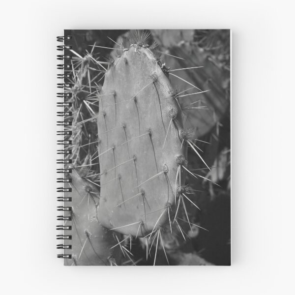 Item preview, Pancake Prickly Pear Paddle - Opuntia chorotica designed and sold by outdoorstudio.