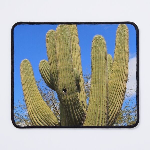 Item preview, Sonoran Desert Giant Saguaro Cactus - Carnegia gigantica designed and sold by outdoorstudio.