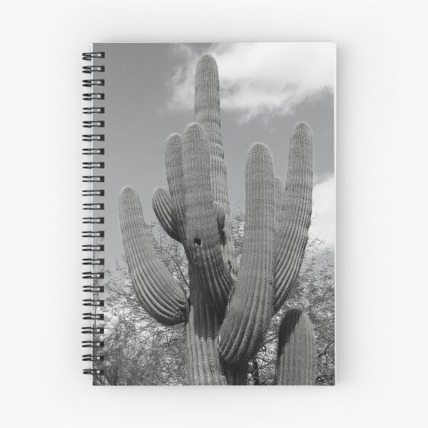 Item preview, Sonoran Desert Giant Saguaro Cactus - Carnegia gigantica designed and sold by outdoorstudio.