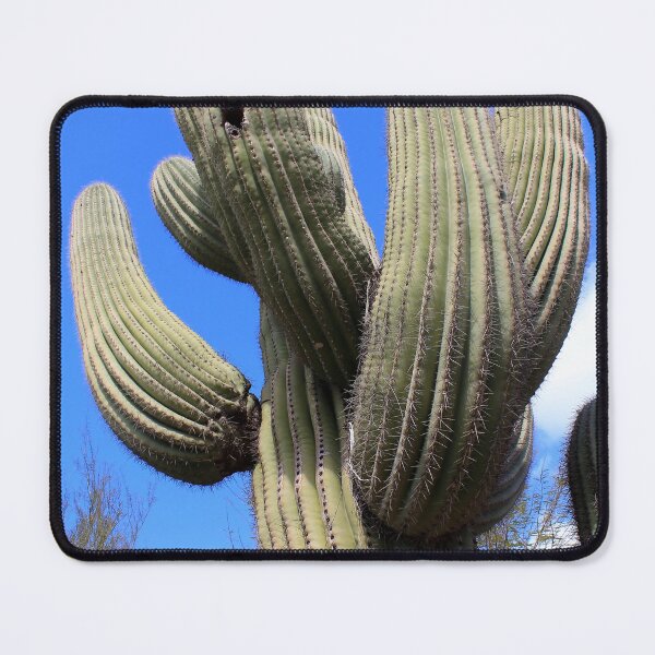 Item preview, Sonoran Desert Giant Saguaro Cactus - Carnegia gigantica designed and sold by outdoorstudio.