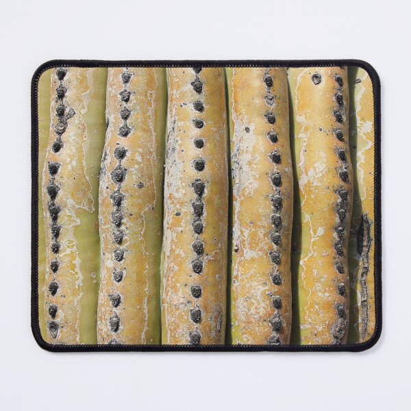 Item preview, Old Worn Saguaro Cactus Trunk - Carnegia gigantica designed and sold by outdoorstudio.