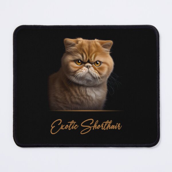 Item preview, Exotic Shorthair Portrait designed and sold by Best-Breeds.
