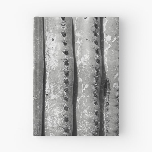 Item preview, Old Worn Saguaro Cactus Trunk - Carnegia gigantica designed and sold by outdoorstudio.
