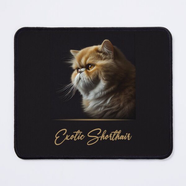 Item preview, Elegant Exotic Shorthair designed and sold by Best-Breeds.