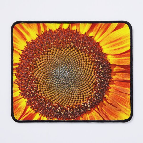 Item preview, Yellow And Red Sunflower Close Up designed and sold by Deb Oppermann.