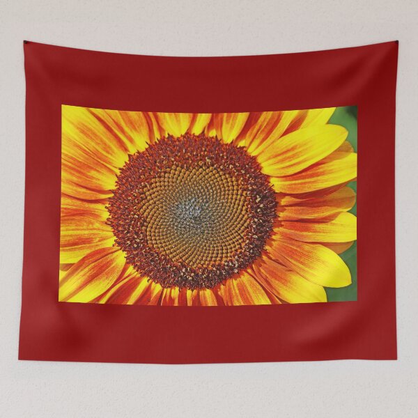 Item preview, Yellow And Red Sunflower Close Up designed and sold by Deb Oppermann.