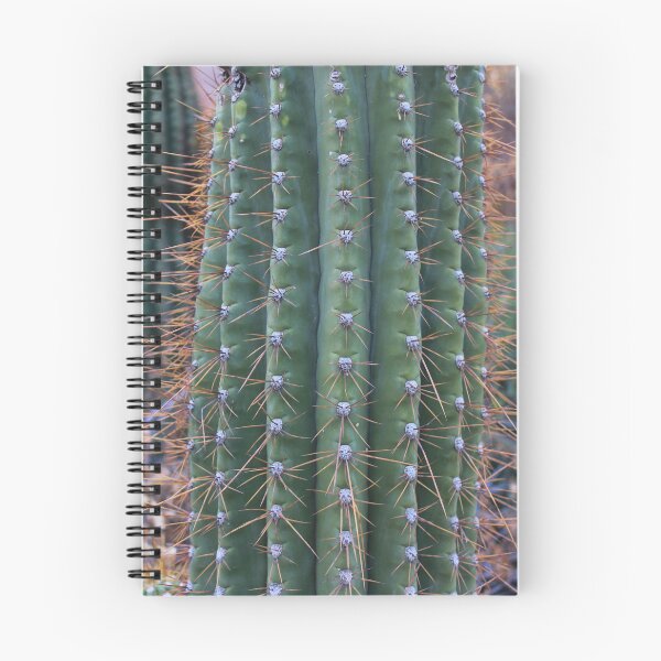 Item preview, Detail of Organ Pipe Cactus Trunk - Stenocereus therberi designed and sold by outdoorstudio.
