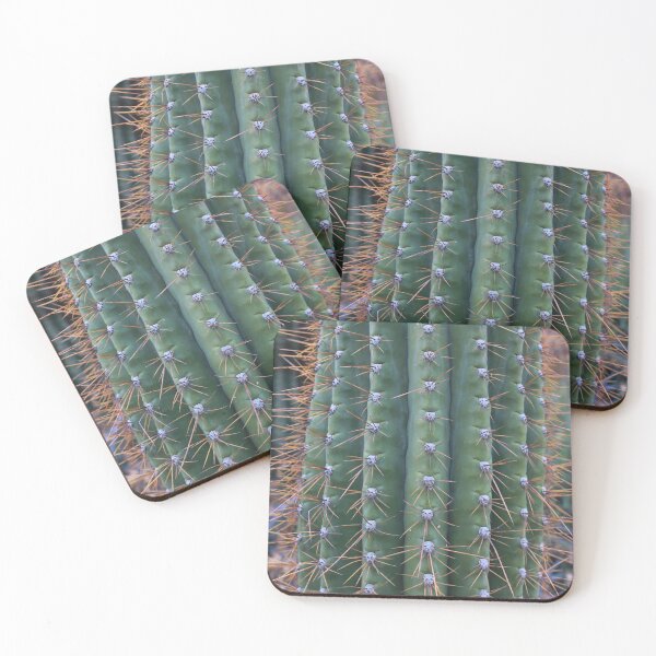 Item preview, Detail of Organ Pipe Cactus Trunk - Stenocereus therberi designed and sold by outdoorstudio.