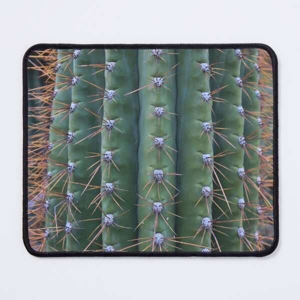 Item preview, Detail of Organ Pipe Cactus Trunk - Stenocereus therberi designed and sold by outdoorstudio.