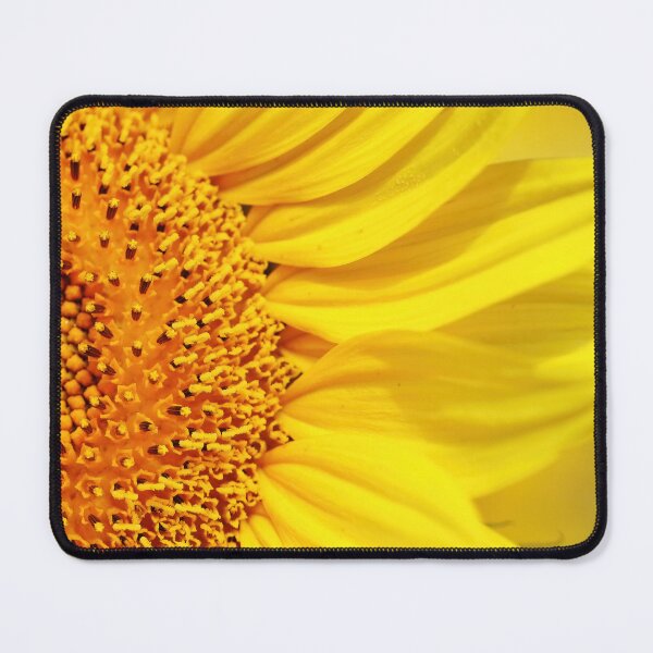 Item preview, You Are My Sunshine designed and sold by Deb Oppermann.