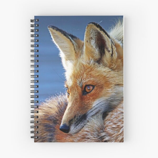 Item preview, Comfy Fox designed and sold by Deb Oppermann.