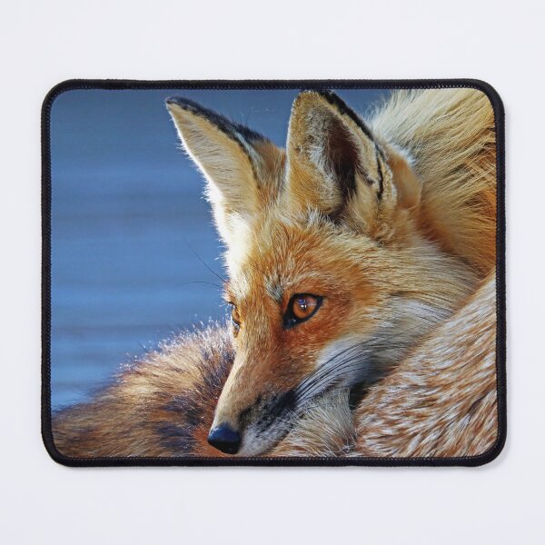 Item preview, Comfy Fox designed and sold by Deb Oppermann.