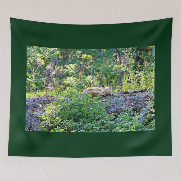Item preview, Nap Time For Red Fox II designed and sold by Deb Oppermann.