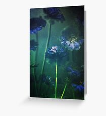Blue Scabiosa Greeting Card