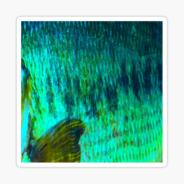 Vista previa del artículo con la obra «Patrón de piel de lobina negra azul», diseñado y vendido por CJRPics.