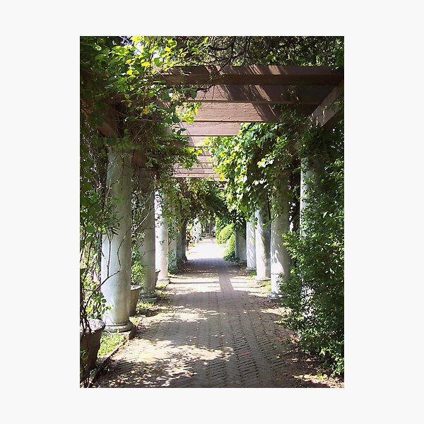 Item preview, Vines and Archways designed and sold by tigerwings.
