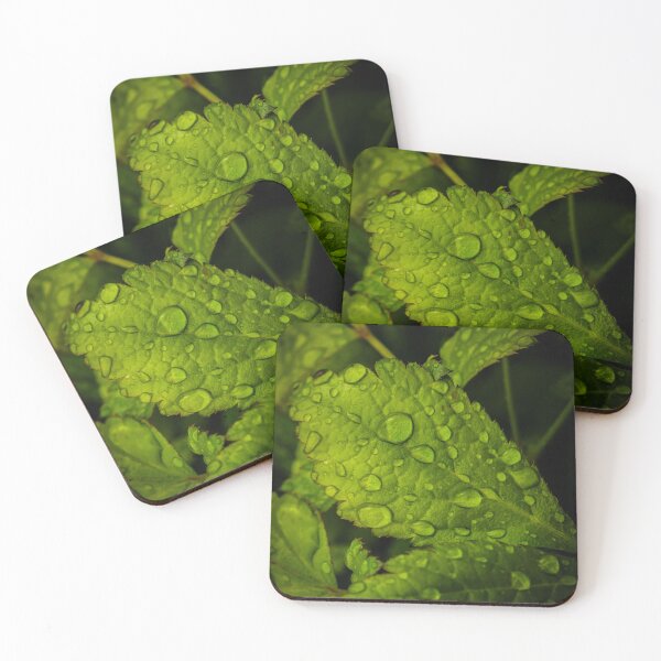 Item preview, Alaskan Plants designed and sold by Nick Caldwell.