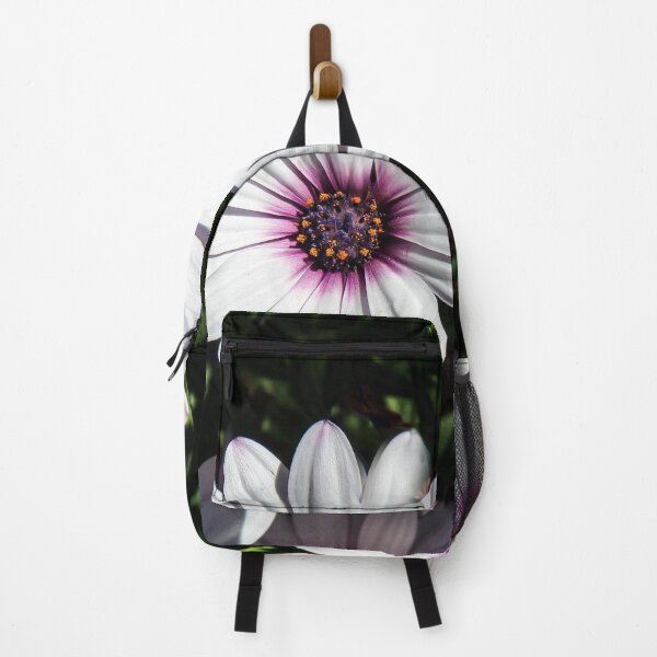 Item preview, Osteospermum Daisies Happy in the Sun designed and sold by heatherfriedman.