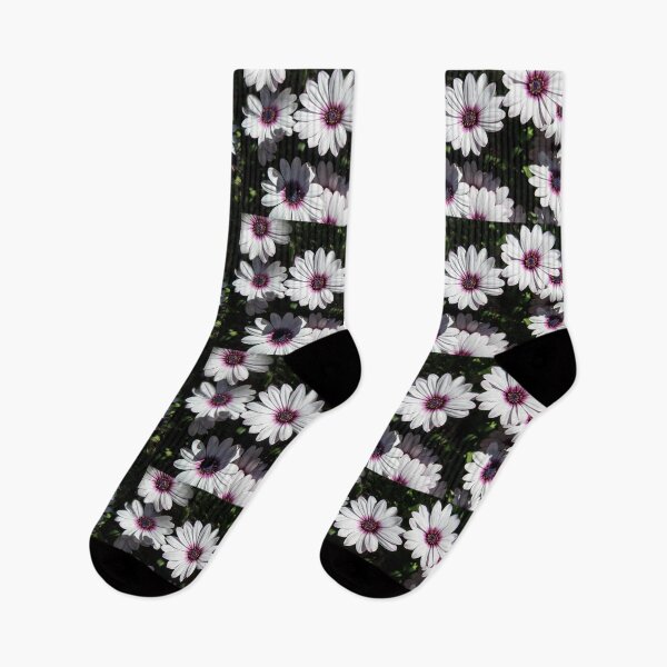 Item preview, Osteospermum Daisies Happy in the Sun designed and sold by heatherfriedman.