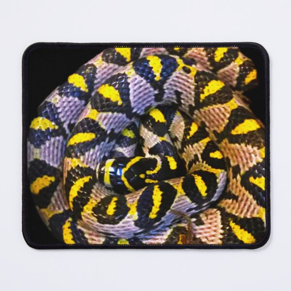 Item preview, Mandarin Rat Snake  designed and sold by StrangeFetish.