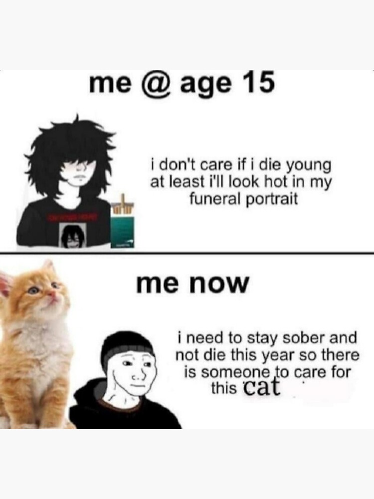 Longcat, the internet meme icon, dies aged 18 - CNET