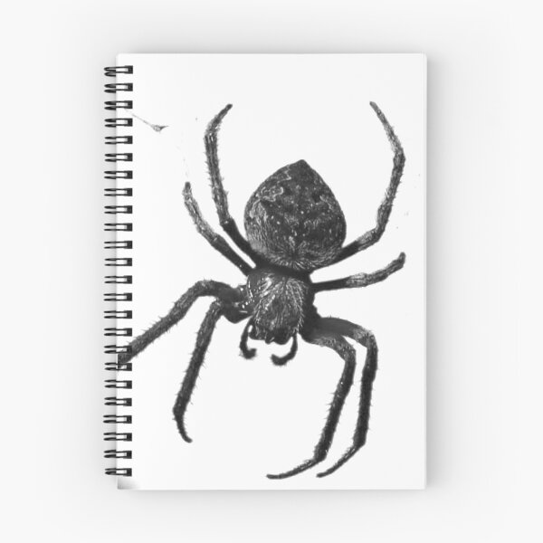 Item preview, The Orb Weaver White! designed and sold by Mickangelhere.