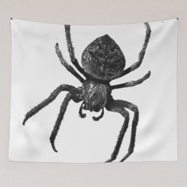Item preview, The Orb Weaver White! designed and sold by Mickangelhere.