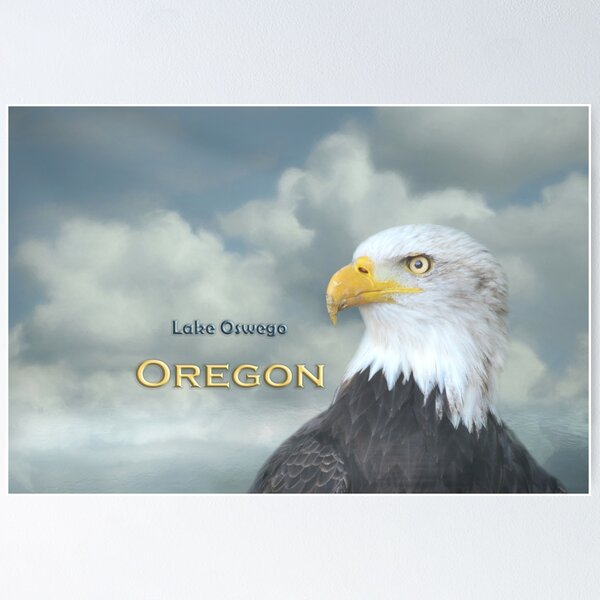 Item preview, Bald Eagle Lake Oswego OR designed and sold by Elisabeth Lucas.
