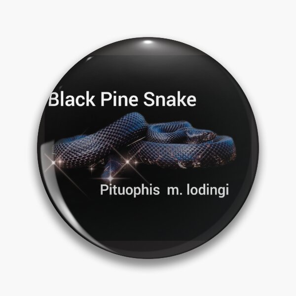 Item preview, Black Pine Snake Pituophis melanoleucus lodingi designed and sold by StrangeFetish.