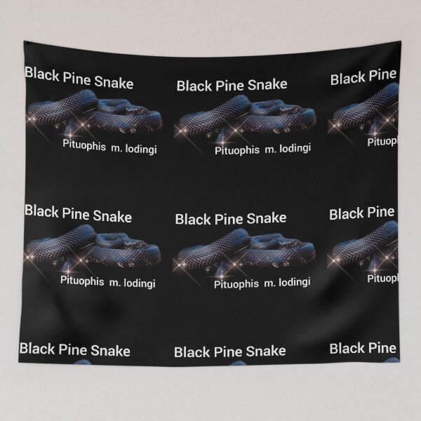 Item preview, Black Pine Snake Pituophis melanoleucus lodingi designed and sold by StrangeFetish.