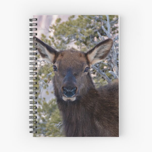 Item preview, Deer Looking at Camera at Grand Canyon designed and sold by jrtwynam.