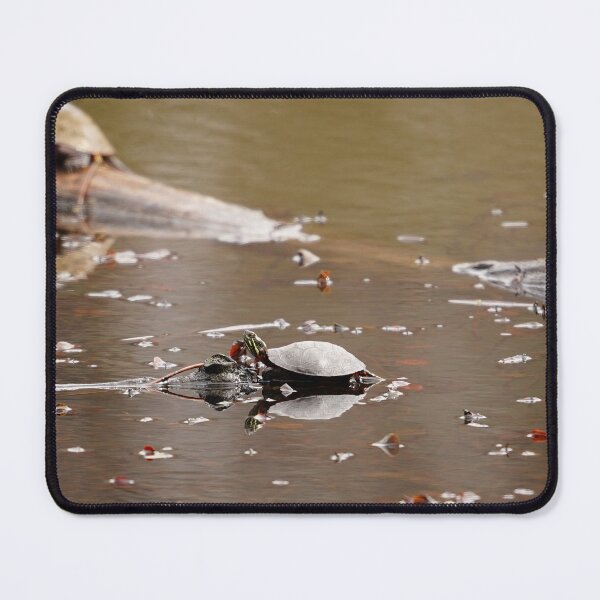 Item preview, Just Chillin' designed and sold by fototaker Tony.