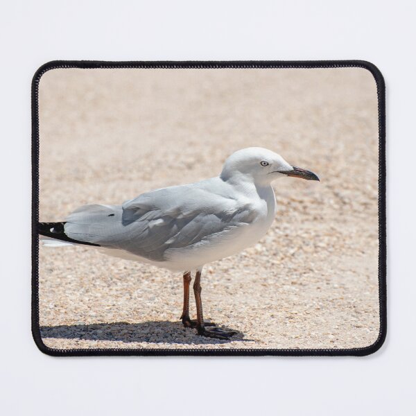 Item preview, Seagull Profile designed and sold by BroomstickMagic by Dani Musicka.