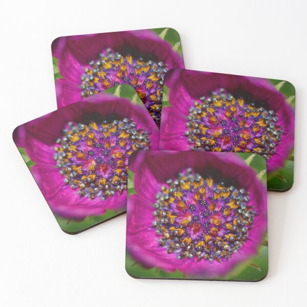 Item preview, Flowers (MKW-F.81) designed and sold by Katrina Morgan.