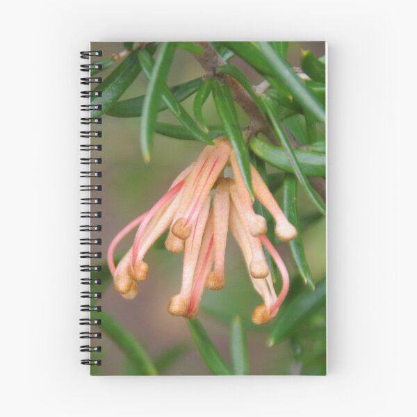 Item preview, Grevillea in Dunsborough designed and sold by lezvee.