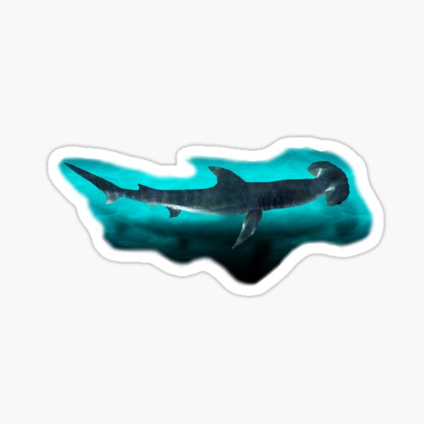 Hammer Head Shark Sticker