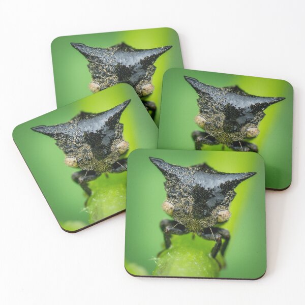 Item preview, A cool looking treehopper! (Gargarini) chilling on the petiole  designed and sold by AvonPerception.