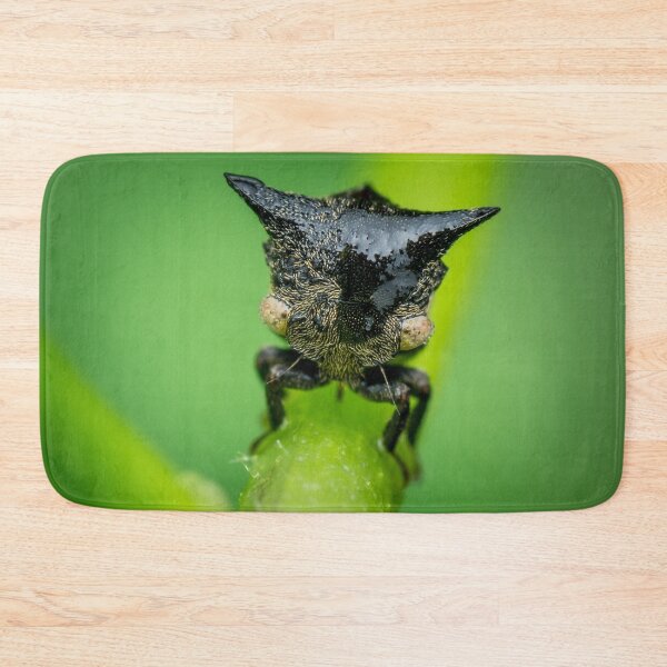 Item preview, A cool looking treehopper! (Gargarini) chilling on the petiole  designed and sold by AvonPerception.
