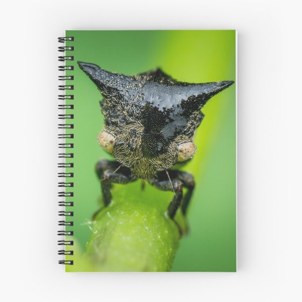 Item preview, A cool looking treehopper! (Gargarini) chilling on the petiole  designed and sold by AvonPerception.