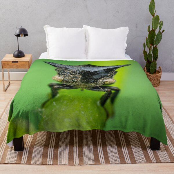 Item preview, A cool looking treehopper! (Gargarini) chilling on the petiole  designed and sold by AvonPerception.